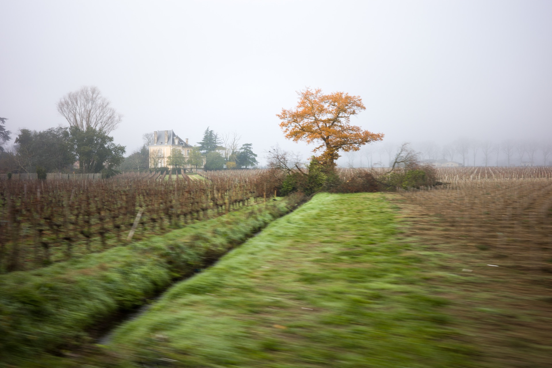 Saint-Emilion